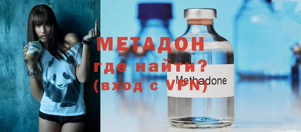 шишки Верея