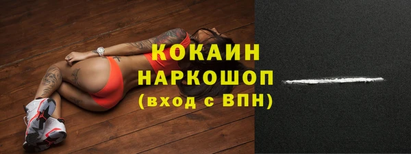 шишки Верея