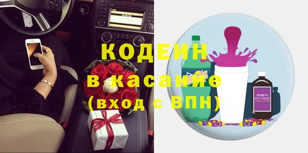 шишки Верея