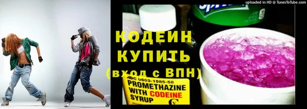 шишки Верея