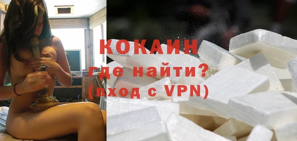 шишки Верея
