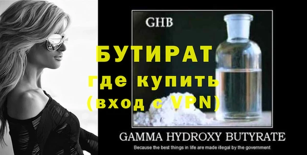 шишки Верея