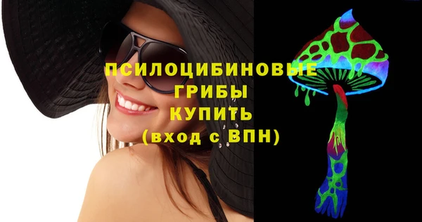 шишки Верея