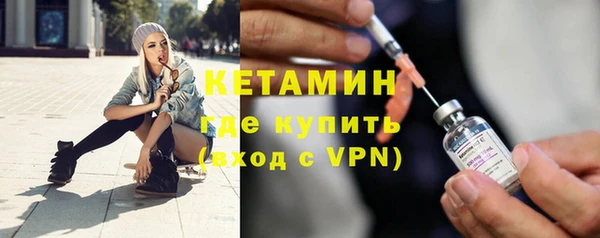 шишки Верея