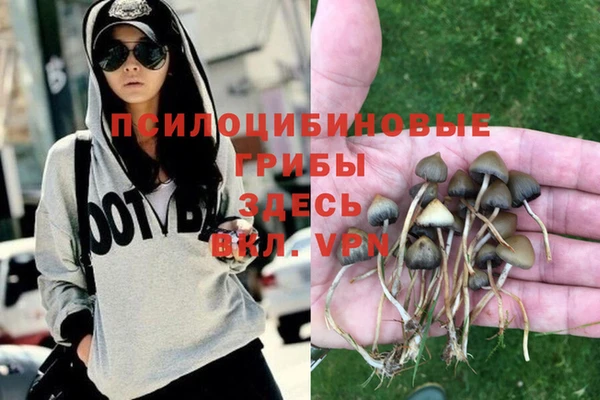 трава Верхний Тагил