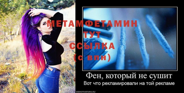 шишки Верея