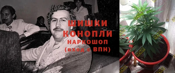 трава Верхний Тагил