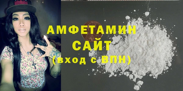 шишки Верея