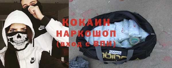 шишки Верея