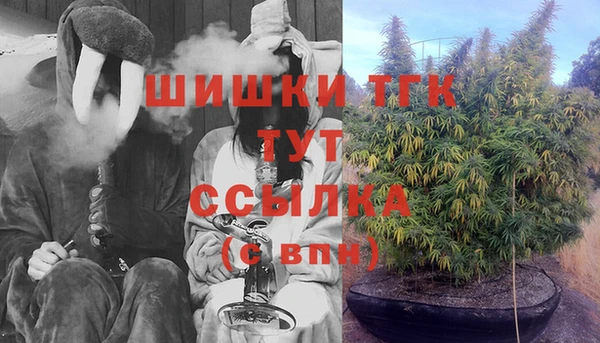 шишки Верея
