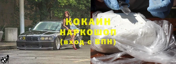 шишки Верея