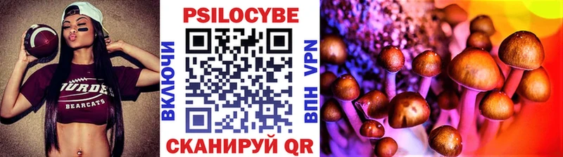 Галлюциногенные грибы Psilocybe  что такое   Улан-Удэ 